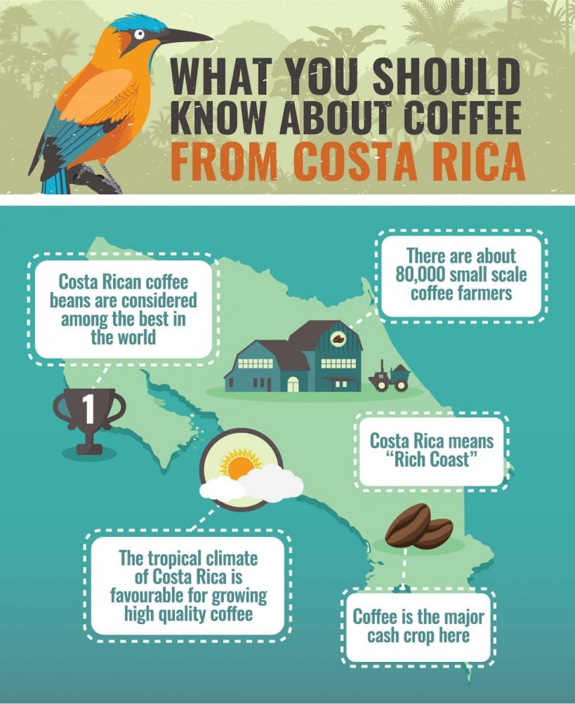 Facts About Costa Rican Coffee