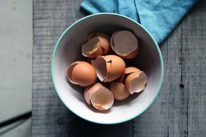 eggshells in a bowl
