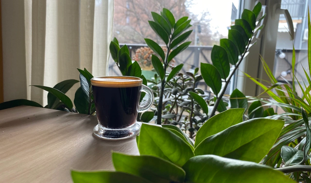 How To Drink Espresso Like an Italian: The Best Way