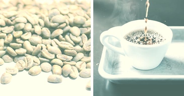 ¿Cuáles son los mejores cafés descafeinados?