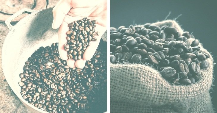 El mejor café en grano orgánico (100 % certificado orgánico)