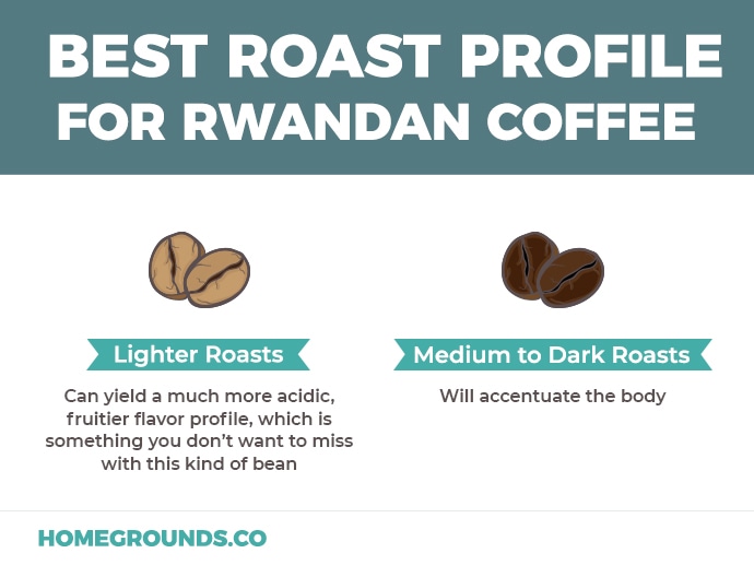 best roast profile illustration
