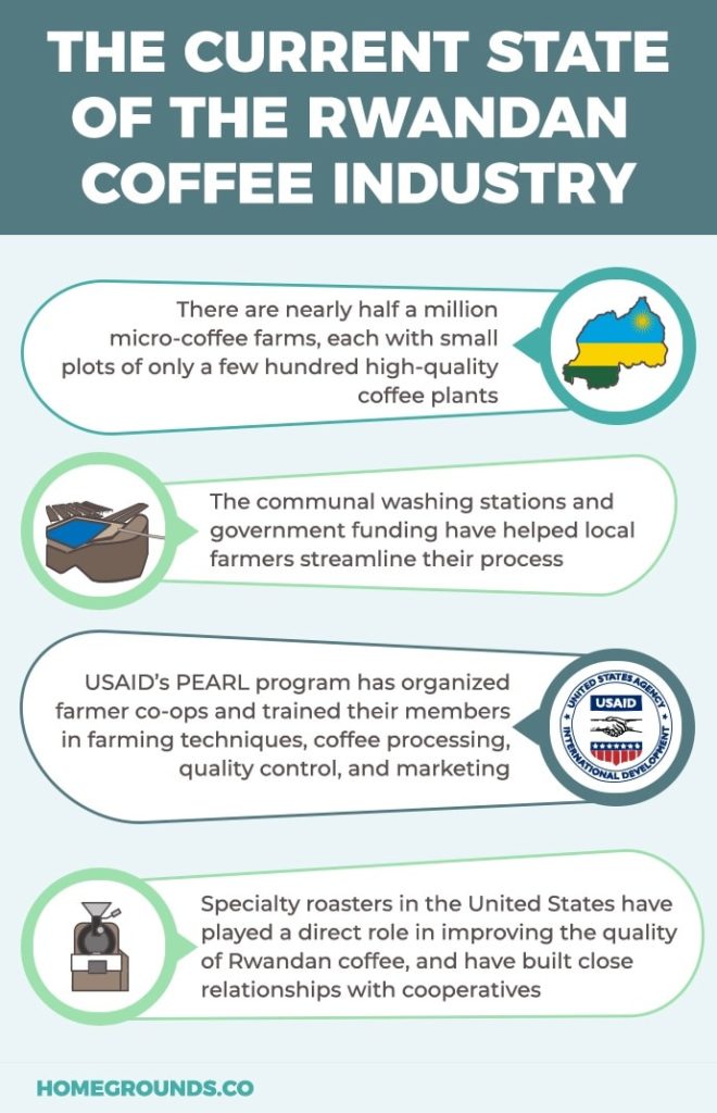 Infographic of the current state of the Rwandan coffee industry