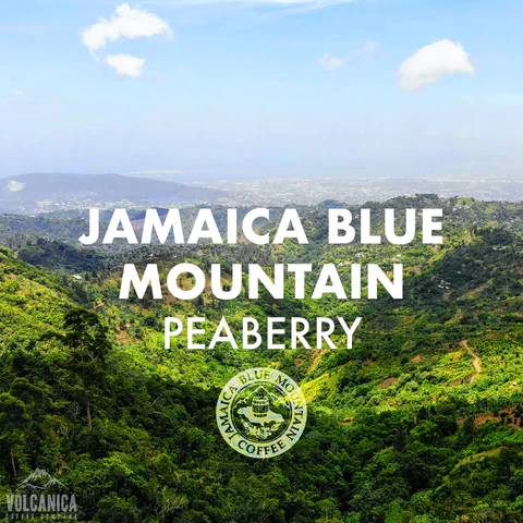Volcanica Coffee JBM Peaberry