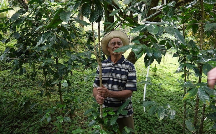 Single origin coffee from a farm from colombia
