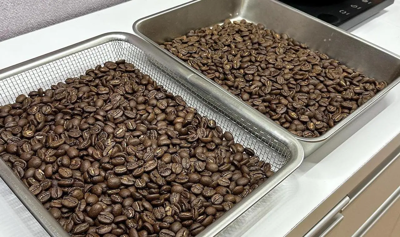 Behmor Coffee Roaster Review (+Get to Know The New 2000AB)