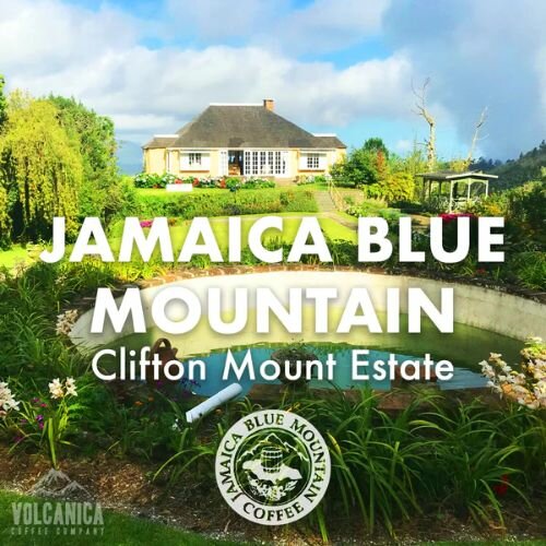 Volcanica Coffee JBM Clifton Mount Estate