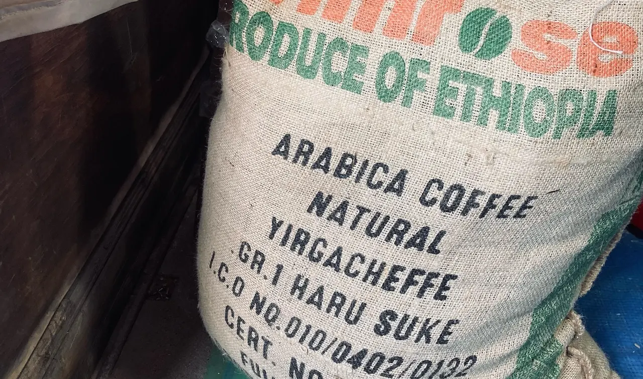 Best Single Origin Coffee in 2026: Do Not Miss Out On These