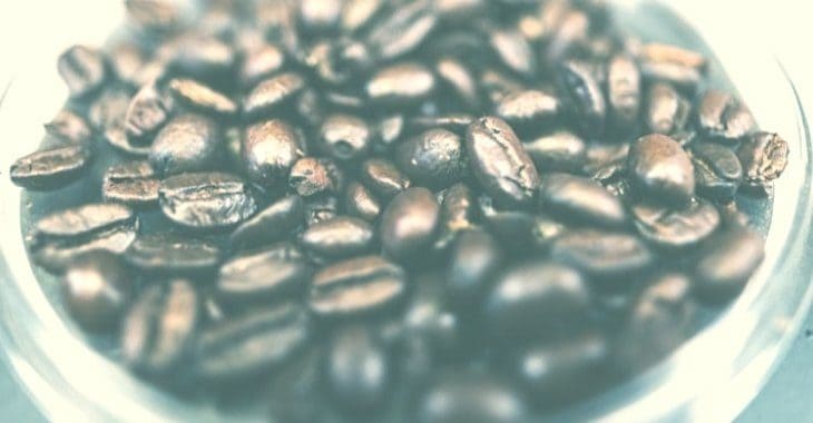 ¿Cuál Es El Café Más Caro Del Mundo?