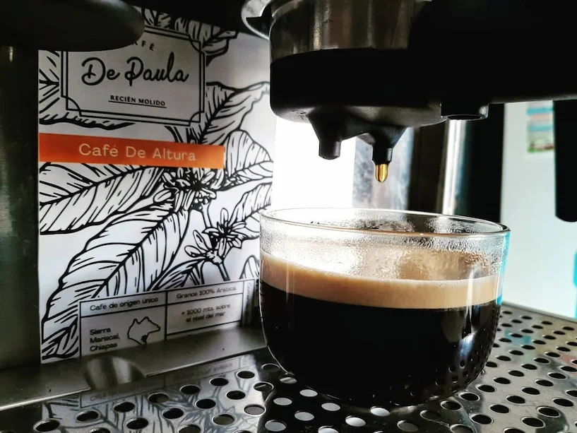 Delonghi EC702 making espresso