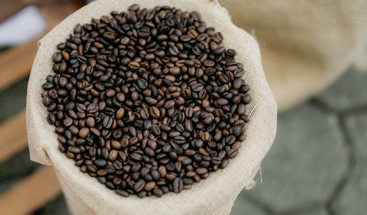 Kona Coffee Grades: Making Sense of Hawaii Grading Standards