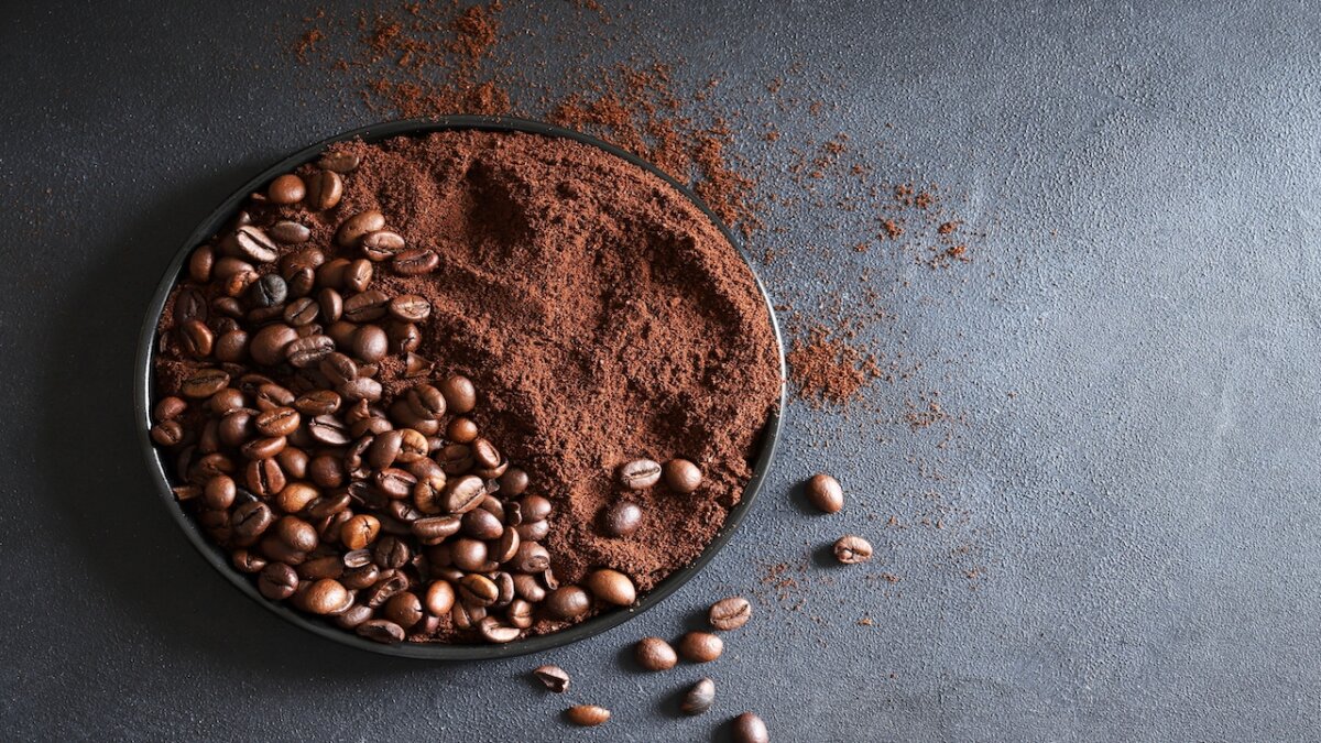 Best Ground Coffee: 9 Great Tasting Brands to Try
