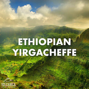 ethiopian-yirgacheffe-coffee-organically-grown