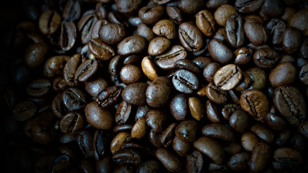 granos de café tostado oscuro