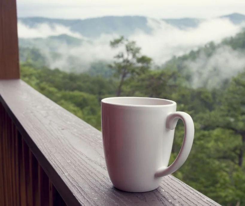 Cup of coffee with view of Blue Mountains