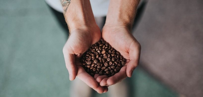 the best coffee beans in the palm of my handsI