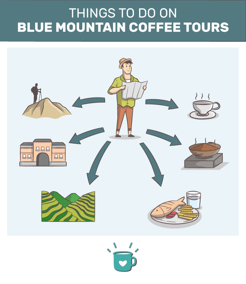 Things to do on Blue Mountain coffee tours.