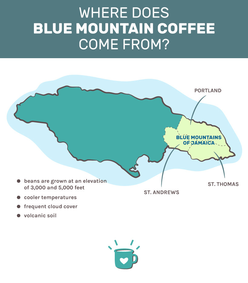 where does blue mountain coffee come from?