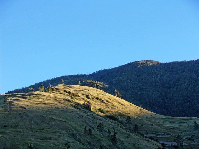 Blue Mountain Coffee Tours: The Best 3