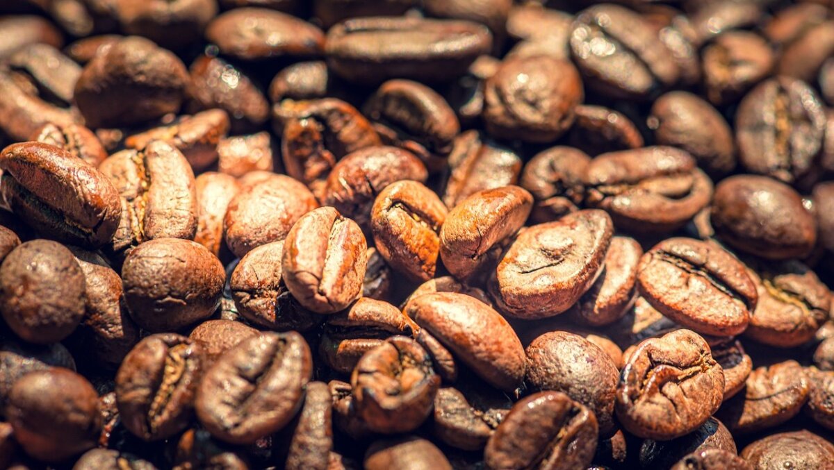 mejor café tostado claro