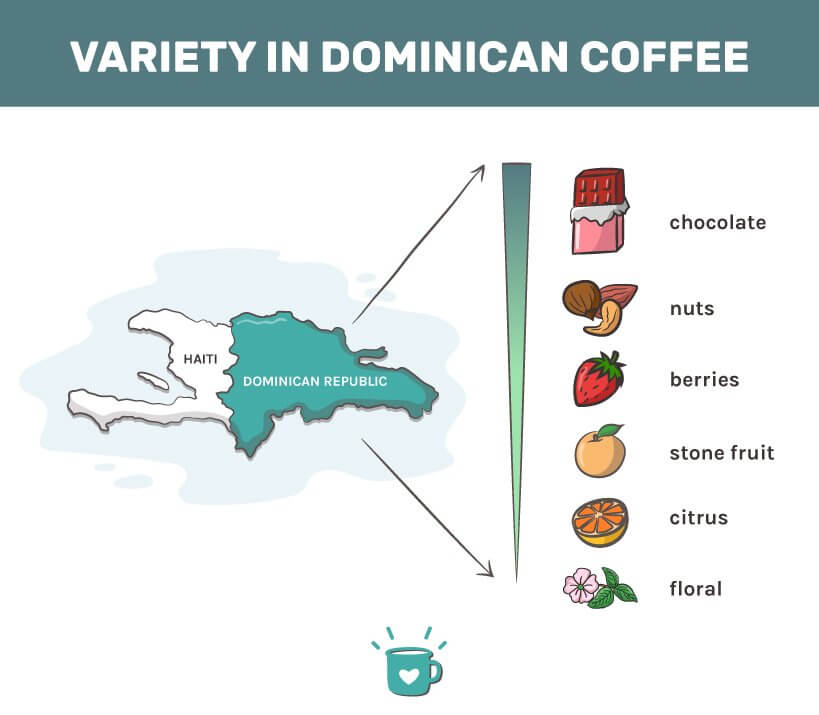 facts about dominican coffee