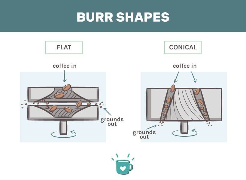 infographic of prosumer coffee grinders burr shapes
