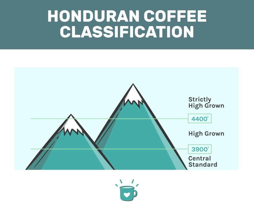 best honduran coffee classification