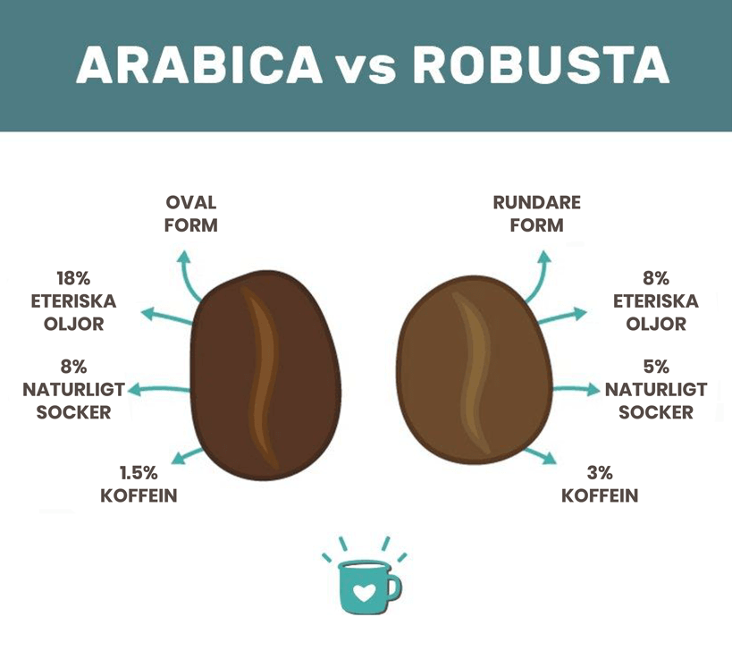Arabica Vs Robusta