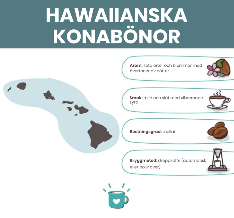 Hawaii Kona Beans