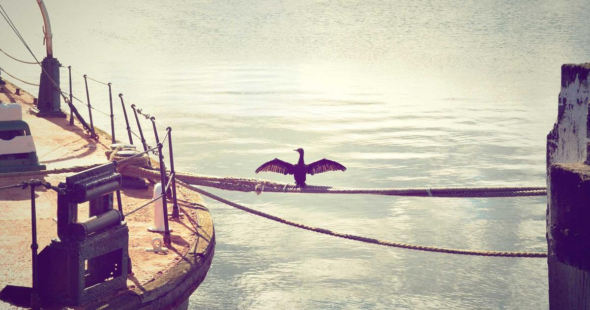 Read more about the article Complete Guide to Espresso: Everything You Need to Know