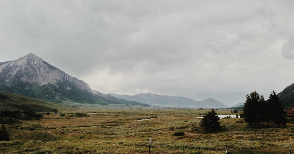 Read more about the article The Ultimate Guide to Coffee Beans