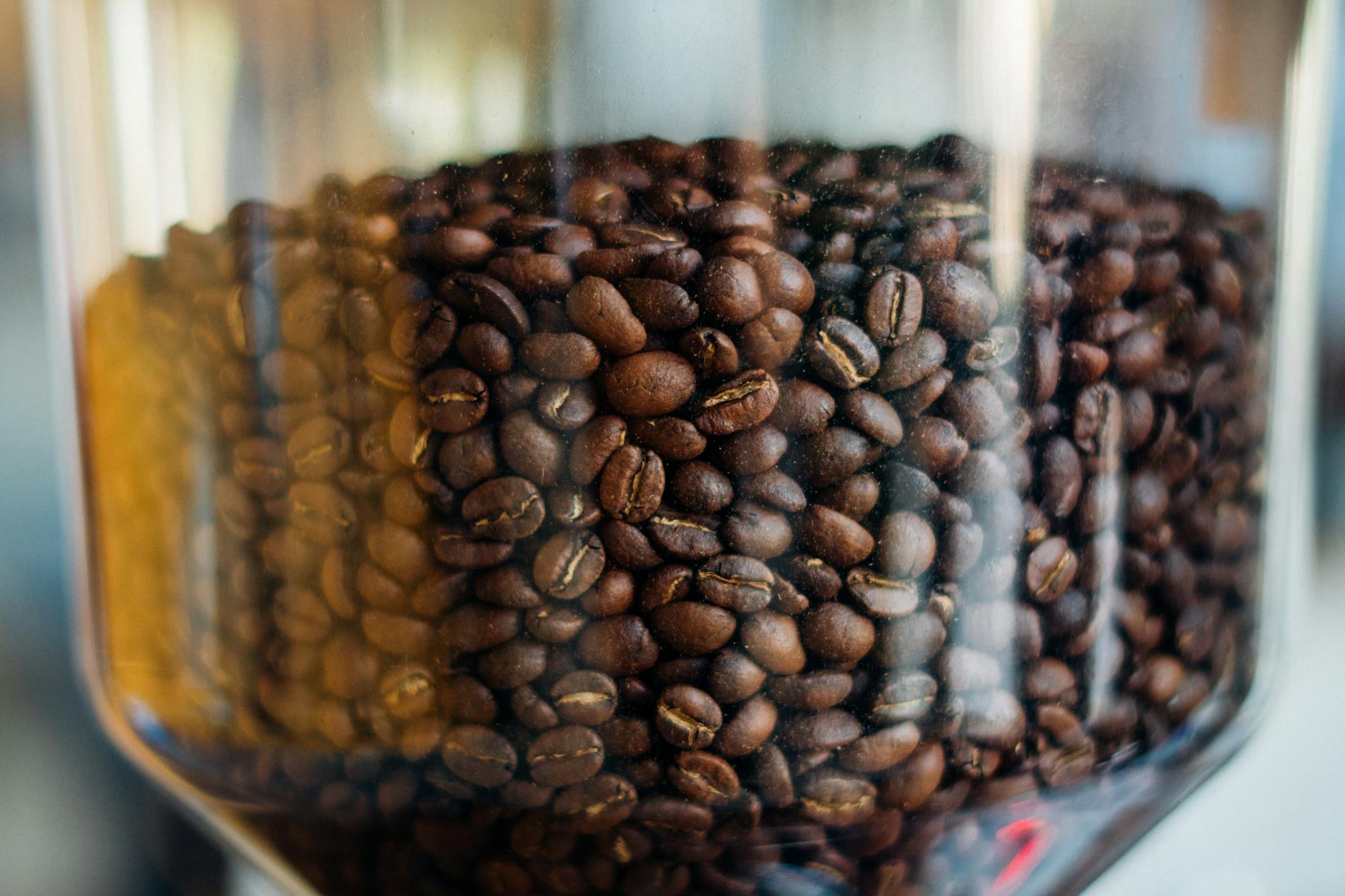 Read more about the article How to Store Coffee Beans Properly to Keep Them Fresh Longer